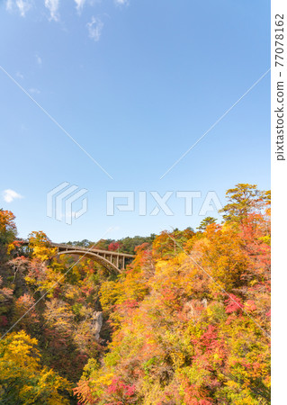 [宮城縣]藍藍的天空和明亮的紅葉的鳴子峽 77078162