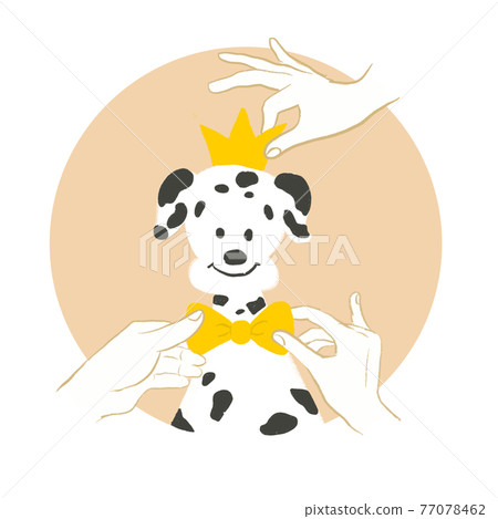 Dalmatian dog dressed up in a crown and bow tie 77078462