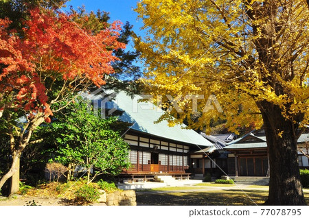Autumn leaves, main hall and blue sky in the precincts of Jomyoji, Kamakura Autumn leaves, main hall and blue sky in the precincts of Jomyoji, Kamakura 77078795