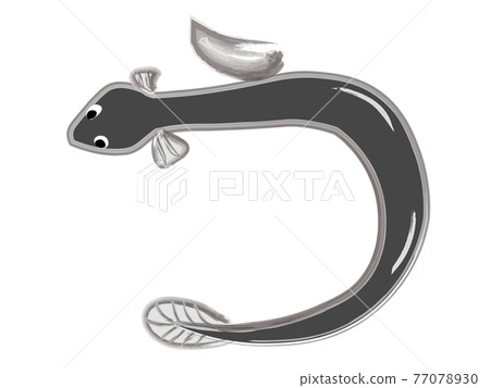 帶有鰻魚字符的插圖 77078930