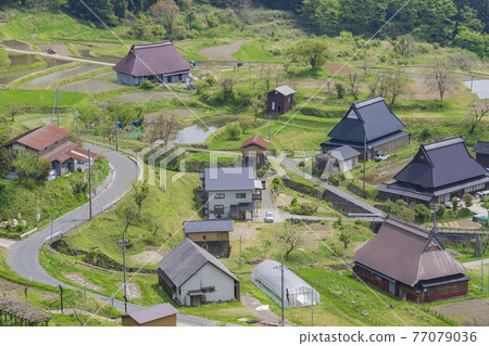 京都瀨谷高原(春季) 京都瀨谷高原(春季) 77079036