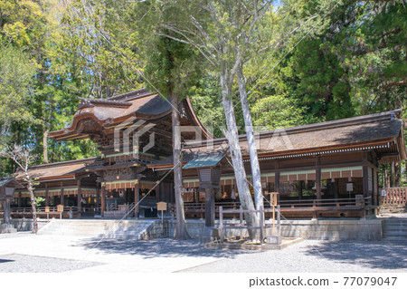 Nagano Prefecture Suwa Taisha Shrine Akimiya Shrine Nagano Prefecture Suwa Taisha Shrine Akimiya Shrine 77079047