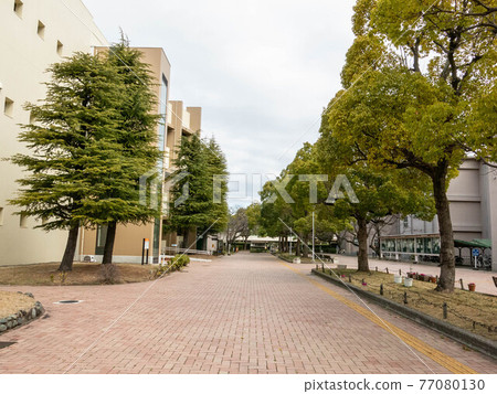 香川大學西外町校區 77080130