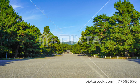夏天京都御苑的天空 夏天京都御苑的天空 77080656