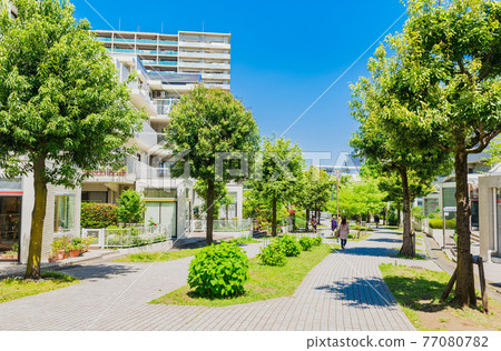 Suburban residential area, fresh green living road 77080782