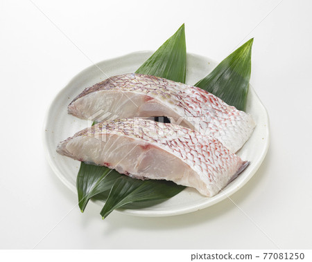 Red snapper fillet 77081250