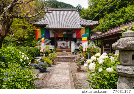 繡球山寺 三光寺 [岐阜縣山形市富永市] 77081397