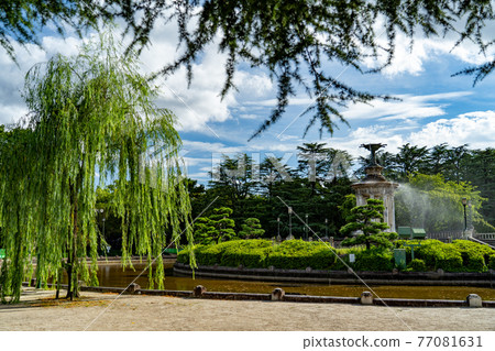 鶴舞公園舒適的夏日天空 鶴舞公園舒適的夏日天空 77081631
