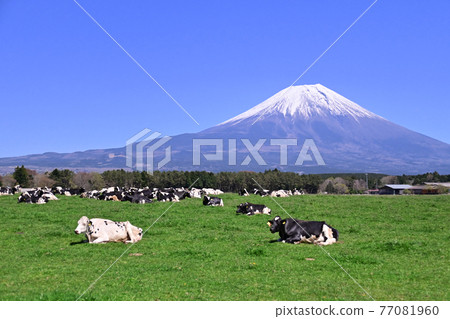 晨霧窗口 晨霧窗口 77081960