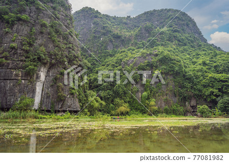 Trang An, Tam Coc, Ninh Binh, Viet nam. It's is UNESCO World Heritage Site, renowned for its boat cave tours. It's Halong Bay on land of Vietnam. Vietnam reopens borders after quarantine Coronovirus 77081982