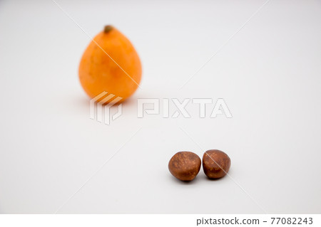 枇杷和枇杷種子 枇杷和枇杷種子 77082243