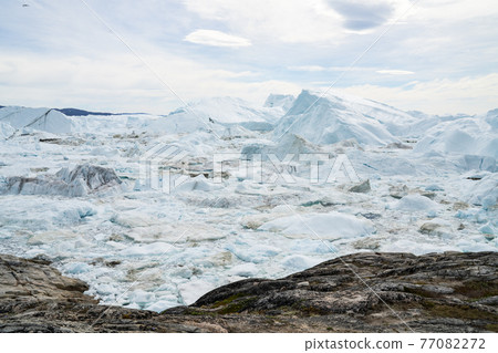 Global warming - Greenland Iceberg landscape of Ilulissat icefjord with giant icebergs. Icebergs from melting glacier. Melting of glaciers and the Greenland ice sheet cause sea level rise. 77082272
