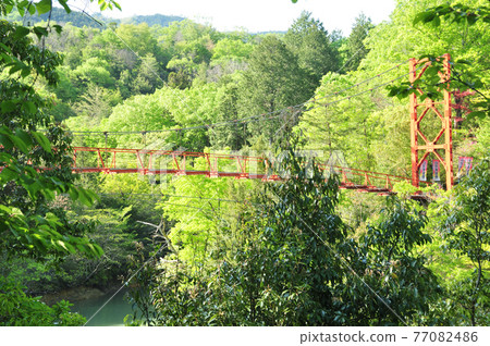 杉村公園丸尾橋[和歌山縣橋本市] 77082486