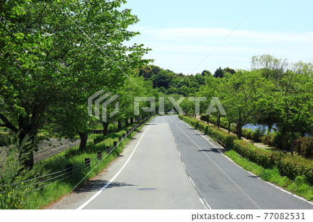 鮮綠水禽路 77082531