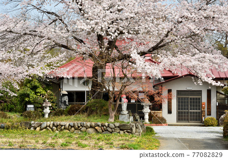 秩父長瀞步道：真言宗千山派新勝寺 77082829