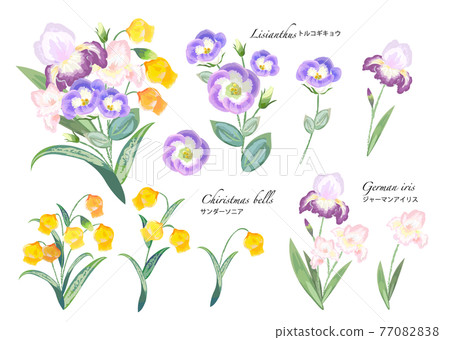 初夏花卉素材水彩 77082838