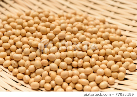 大豆 大豆 77083199