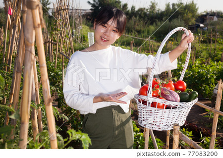 Woman holding basket full of vegetables Woman holding basket full of vegetables 77083200