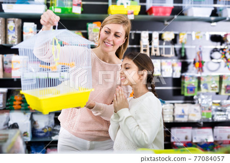 Kid girl begging her mother to buy bird cage Kid girl begging her mother to buy bird cage 77084057