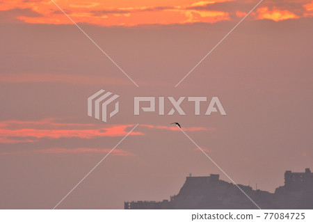 Evening view of warship island Evening view of warship island 77084725