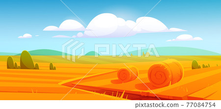 Farm landscape with hay bales on agriculture field 77084754