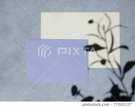 Olive shadow and blank paper 77085227