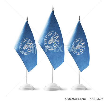 Set of Food and agriculture organization national flags on a white background 77085674