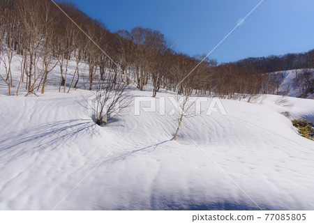 春山雪景 春山雪景 77085805