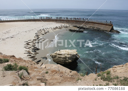 加州印章 77086188