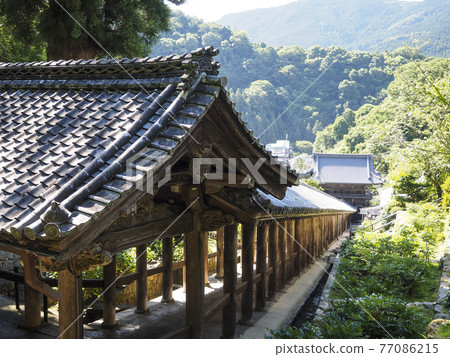 從上面俯瞰的長谷寺走廊 77086215