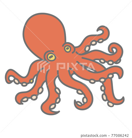 Octopus illustration Octopus illustration 77086242