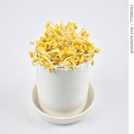 豆芽配菜 77086361