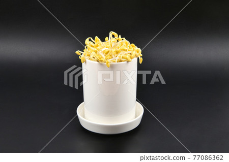 豆芽配菜 77086362