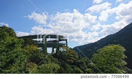 墨綠色河津七丸環橋 墨綠色河津七丸環橋 77086499