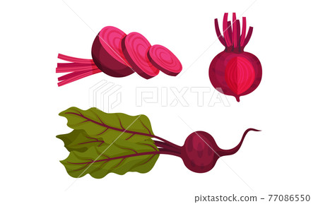 Beetroot or Red Beet with Top Leaves Vector Set Beetroot or Red Beet with Top Leaves Vector Set 77086550
