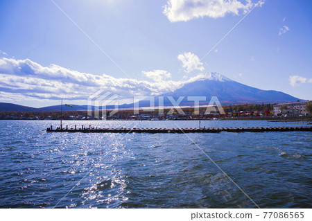 [Yamanashi Prefecture] Lake Yamanaka in autumn and Mt. Fuji with snow 77086565