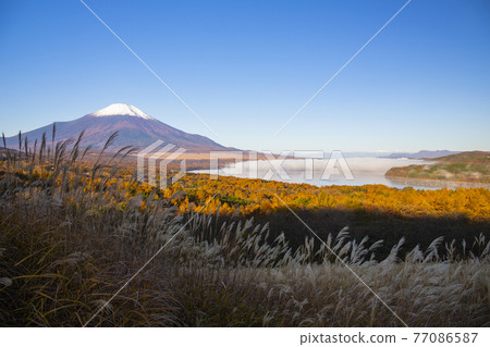 [Yamanashi Prefecture] Autumn Yamanakako and Mt. Fuji / Southern Alps 77086587