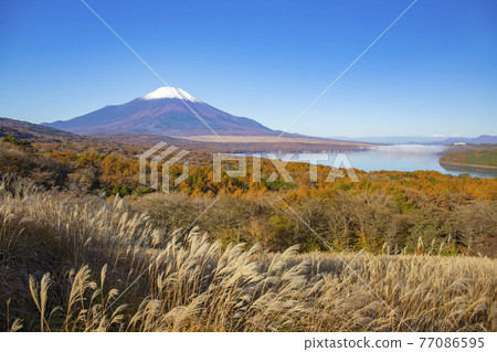 [Yamanashi Prefecture] Autumn Yamanakako and Mt. Fuji / Southern Alps 77086595