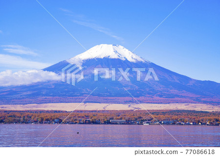 [Yamanashi Prefecture] Lake Yamanaka and Mt. Fuji in autumn 77086618