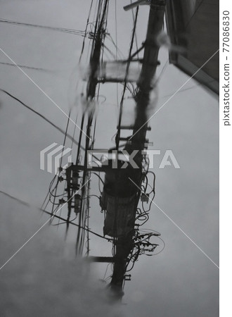 在水坑反射的電線桿 77086830