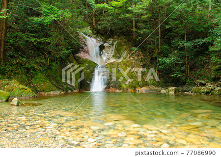 Jakuchikyo 五龍之瀧 Jakuchikyo 五龍之瀧 77086990