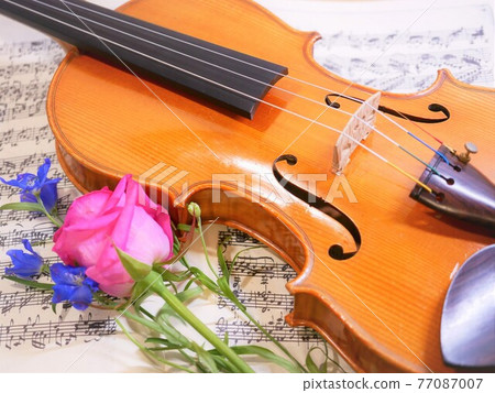 小提琴和鮮花 77087007
