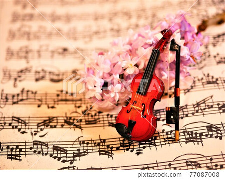 Violin and lilac Violin and lilac 77087008