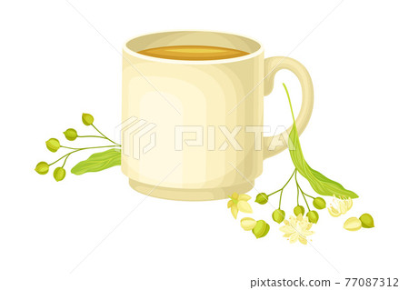 Ceramic Cup with Hot Lime Tea and Small-leaved Linden or Tilia Cordata Blossom Rested Nearby Vector Illustration 77087312