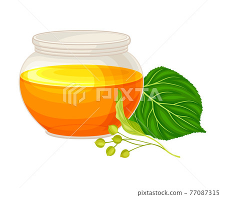 Linden Flower Clusters with Monofloral Honey Poured in Glass Jar Vector Illustration 77087315