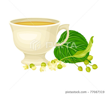 Ceramic Cup with Hot Lime Tea and Small-leaved Linden or Tilia Cordata Blossom Rested Nearby Vector Illustration 77087319