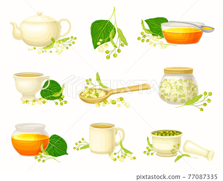 Small-leaved Linden or Tilia Cordata Blossom with Lime Tea in Teapot and Honey in Jar Vector Set Small-leaved Linden or Tilia Cordata Blossom with Lime Tea in Teapot and Honey in Jar Vector Set 77087335