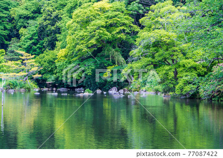 擁有美麗清新綠水的箱之宮公園 77087422