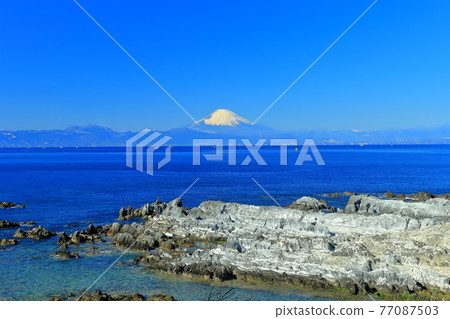 [Kanagawa] The sunny Arasaki coast and Mt. Fuji 77087503