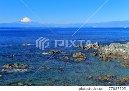 [Kanagawa] The sunny Arasaki coast and Mt. Fuji 77087505